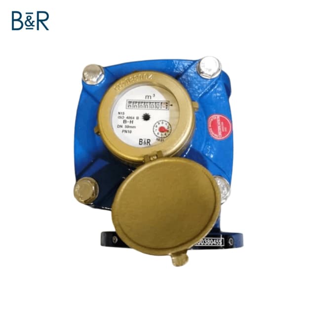 Jual Water Meter B&R LXLG DN50